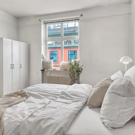 Kanskje Den Storste Airbnb-leiligheten I Sentrum! Lejlighed